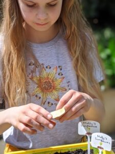 Sowing Sally’s Sunflower Seeds - Molly The Happy Rainbow 